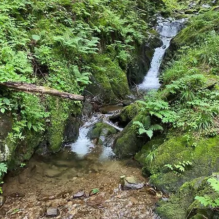 Chalet Vacanze Foppa *
